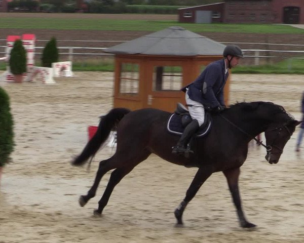 Reitturnier Altenberge 2020