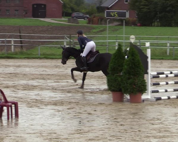 Reitturnier Altenberge 2020