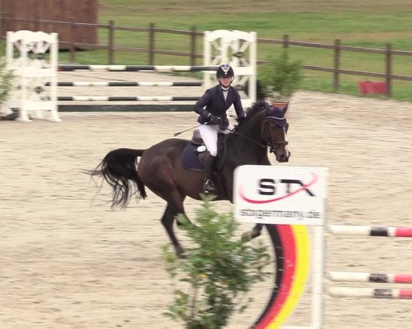 Reitturnier Westergellersen 2020