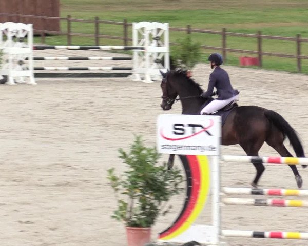 Reitturnier Westergellersen 2020