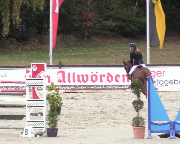 Reitturnier Westergellersen 2020
