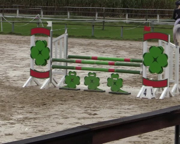 Reitturnier Altenberge 2020