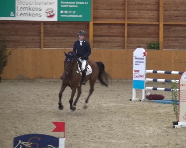 Reitturnier Xanten - Reitanlage Miss 2020