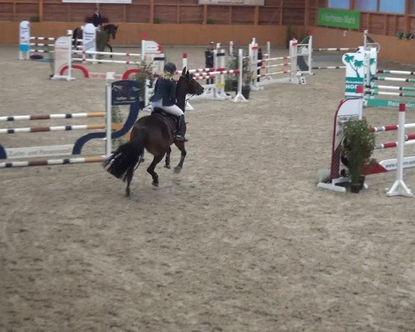 Reitturnier Xanten - Reitanlage Miss 2020