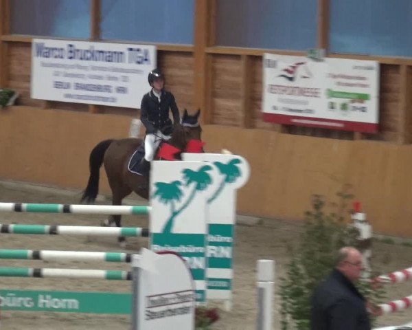 Reitturnier Xanten - Reitanlage Miss 2020