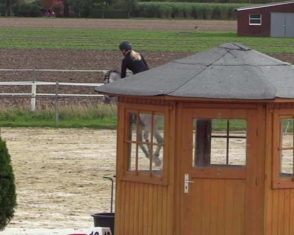 Reitturnier Altenberge 2020