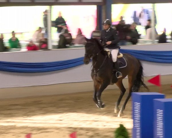 Reitturnier Buchs 2021