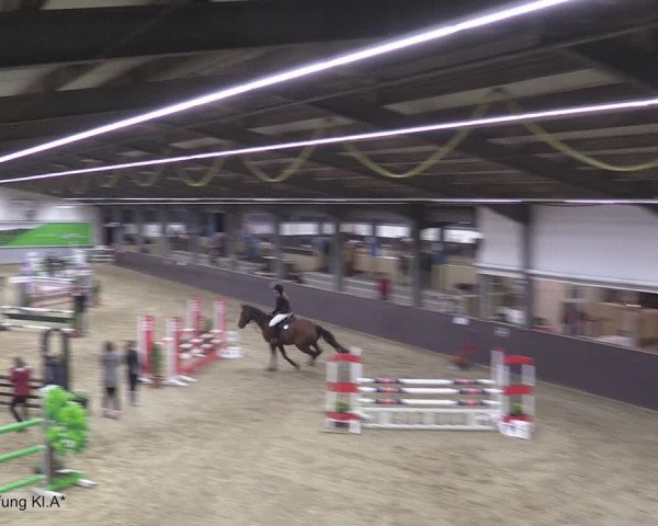 Reitturnier Legden 2020