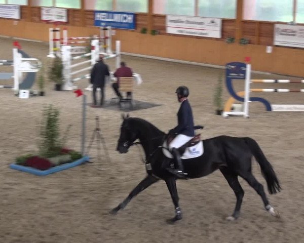 Reitturnier Xanten - Reitanlage Miss 2020