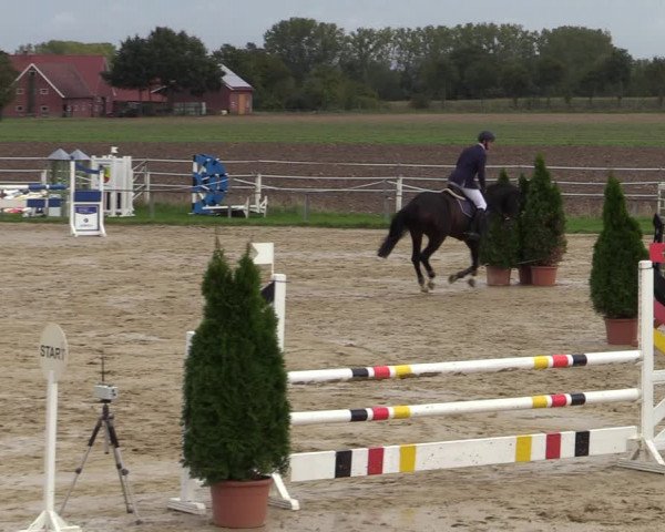 Reitturnier Altenberge 2020