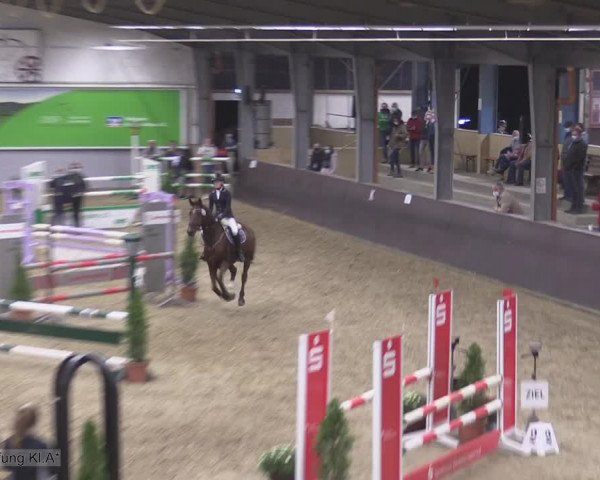 Reitturnier Legden 2020
