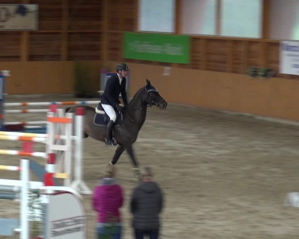 Reitturnier Xanten - Reitanlage Miss 2020