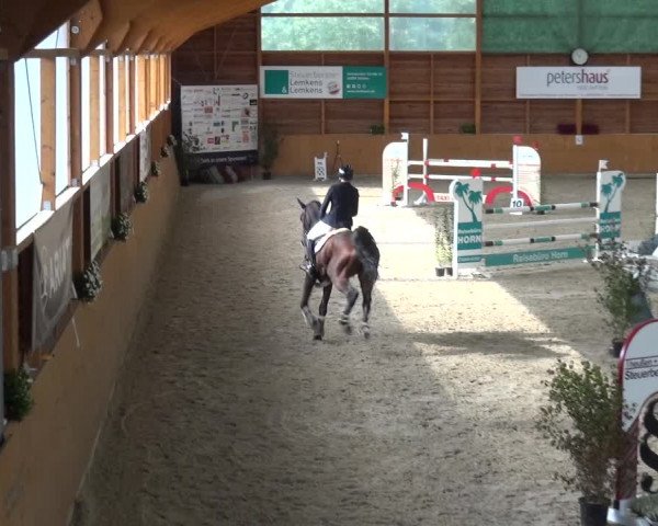 Reitturnier Xanten - Reitanlage Miss 2020