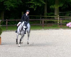 broodmare Chacosse (Oldenburg show jumper, 2007, from Chacco-Blue)