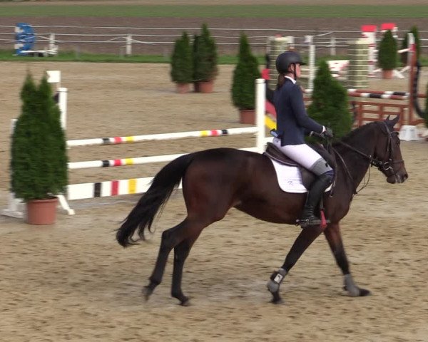 Reitturnier Altenberge 2020