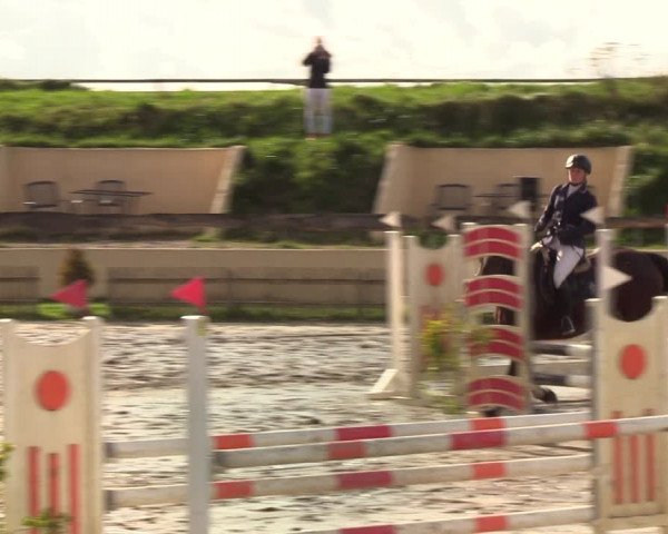 Reitturnier Schülp / Rendsburg 2020