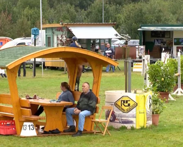 Zuchtstute Naloutaire (Oldenburger Springpferd, 2007, von Nekton)