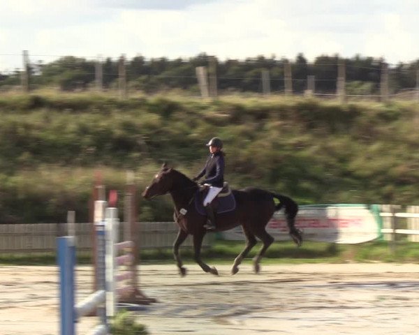 Reitturnier Schülp / Rendsburg 2020