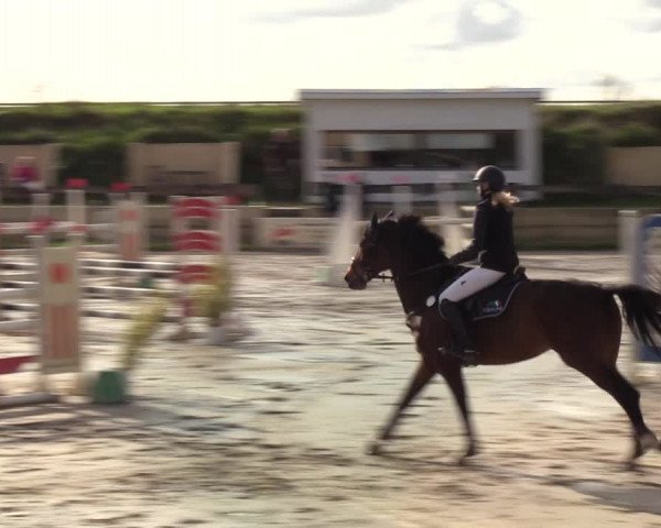 Reitturnier Schülp / Rendsburg 2020