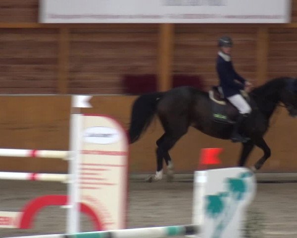 Reitturnier Xanten - Reitanlage Miss 2020