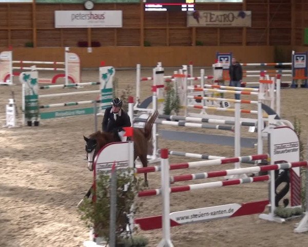 Reitturnier Xanten - Reitanlage Miss 2020