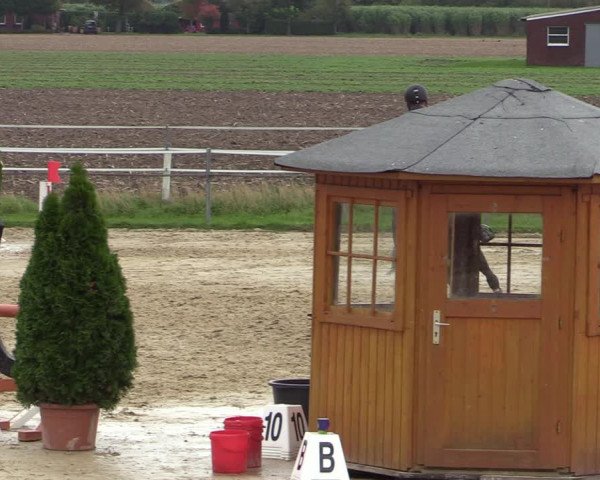 Reitturnier Altenberge 2020