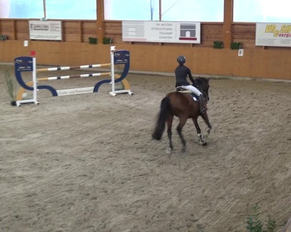 Reitturnier Xanten - Reitanlage Miss 2020