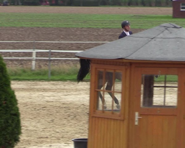 Reitturnier Altenberge 2020
