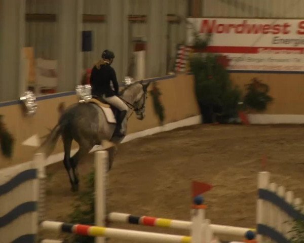 jumper Calderon de la Barca (Oldenburg show jumper, 2008, from Cassus 2)