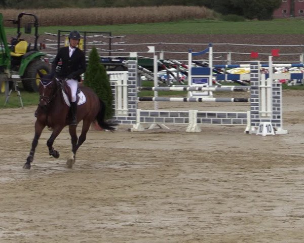 Reitturnier Altenberge 2020