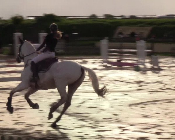 Reitturnier Schülp / Rendsburg 2020