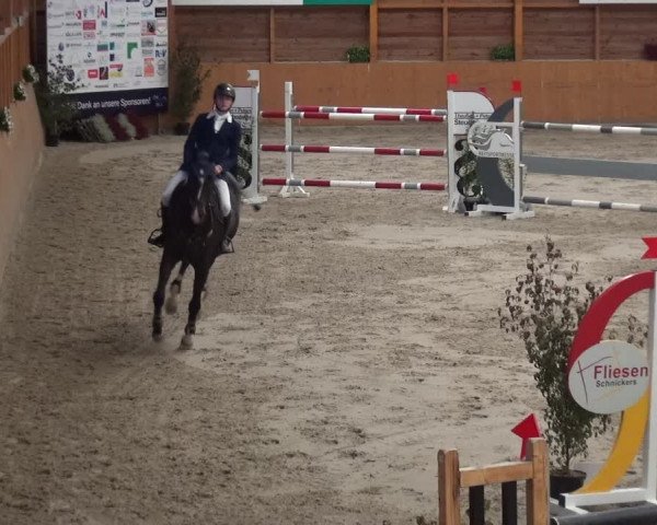 Reitturnier Xanten - Reitanlage Miss 2020