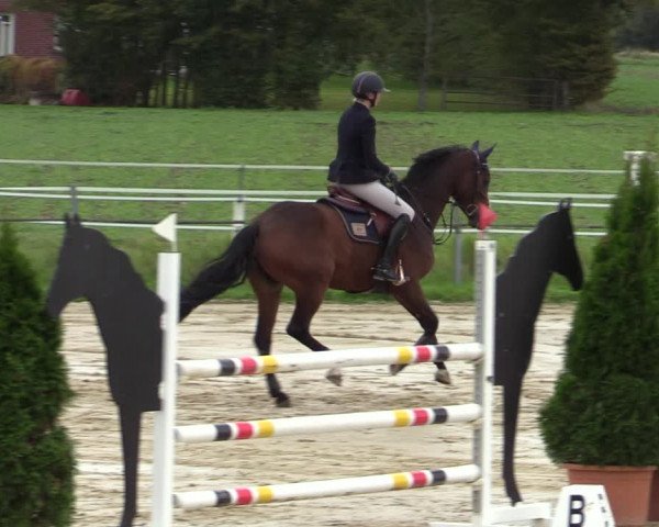 Reitturnier Altenberge 2020
