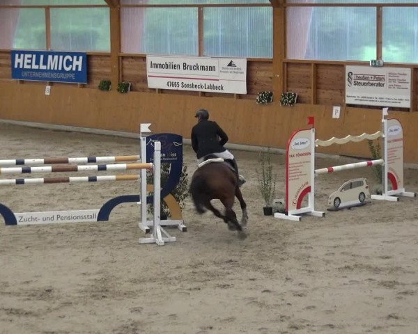Reitturnier Xanten - Reitanlage Miss 2020