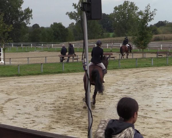 Reitturnier Altenberge 2020