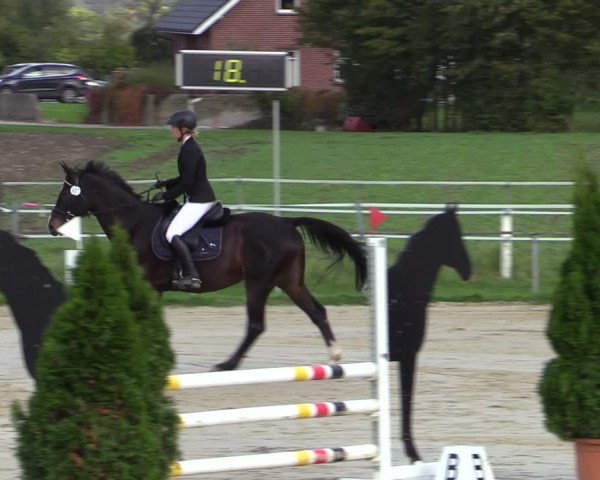 Reitturnier Altenberge 2020