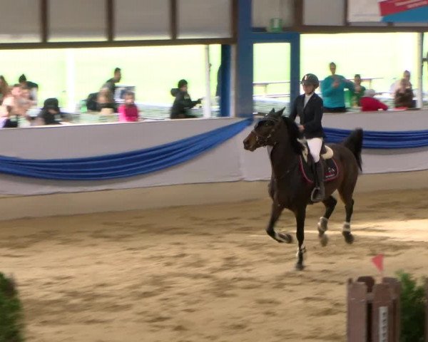 Reitturnier Buchs 2021