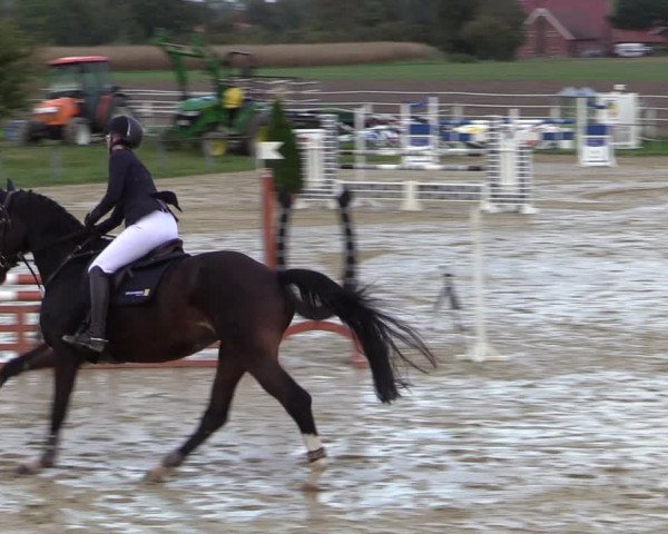 Reitturnier Altenberge 2020
