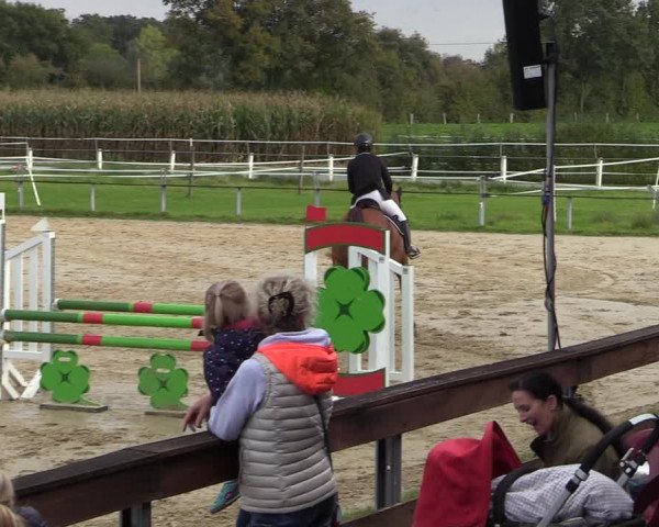 Reitturnier Altenberge 2020