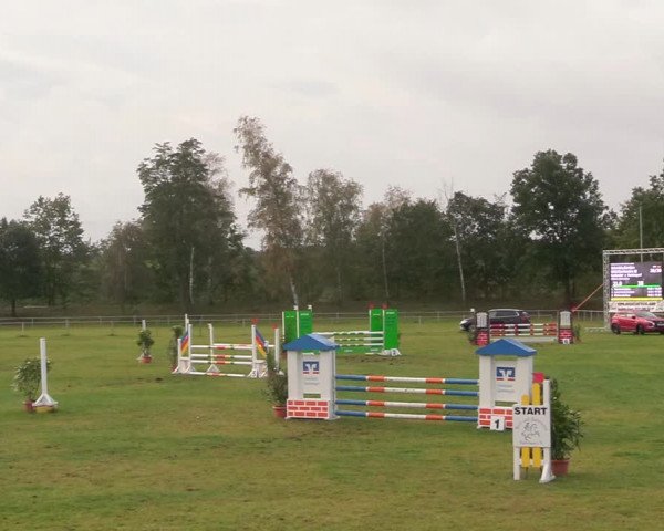 Reitturnier Gardelegen 2020