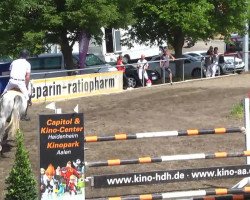 jumper Cay Uwe (Holsteiner, 2009, from Contact Me)
