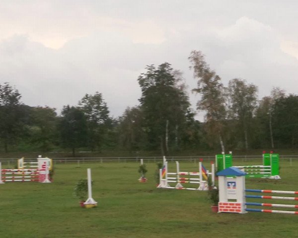 Reitturnier Gardelegen 2020