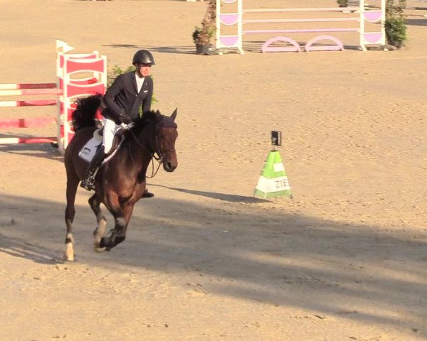 Reitturnier Westergellersen 2020