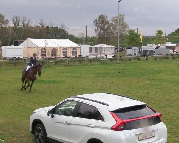 Reitturnier Gardelegen 2020