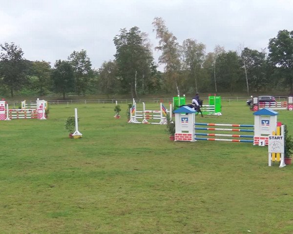 Reitturnier Gardelegen 2020