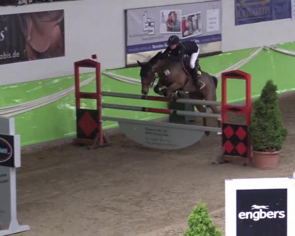 jumper Rico 722 (New Forest Pony, 2005, from Rambo)