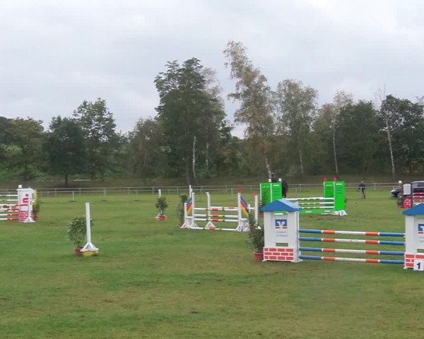 Reitturnier Gardelegen 2020