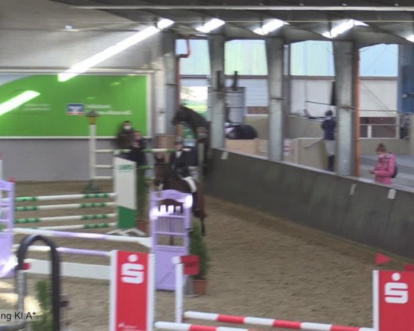 Reitturnier Legden 2020
