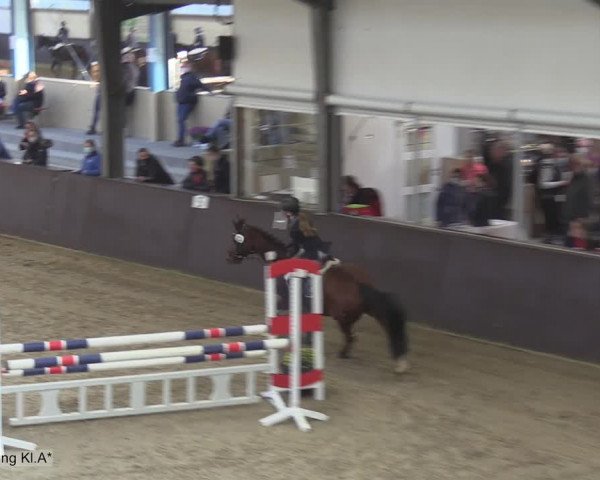 Reitturnier Legden 2020