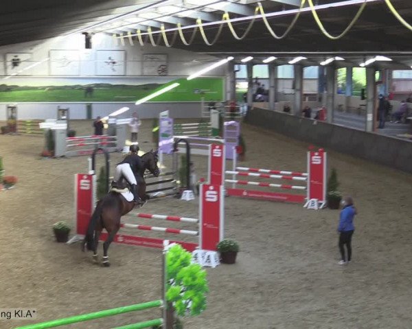 Reitturnier Legden 2020